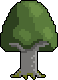 border_tree_1.png